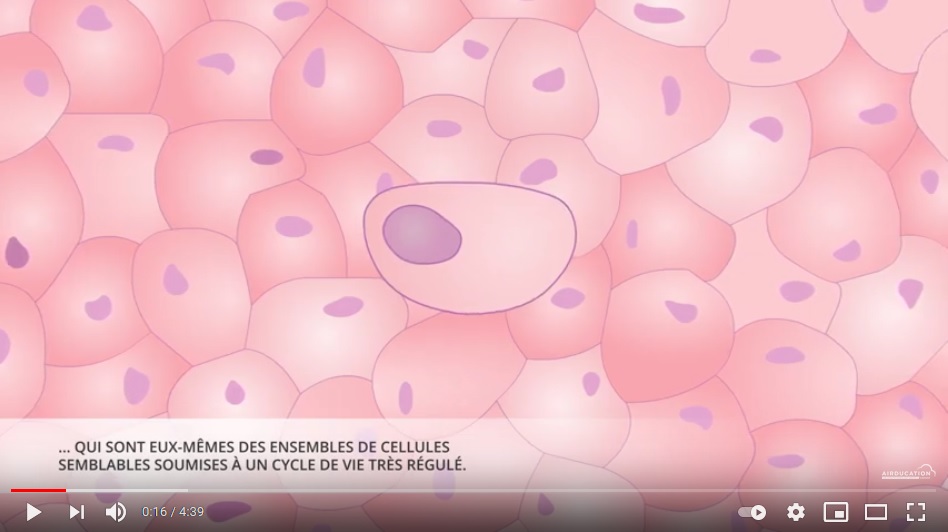 Formation d'un cancer - Animation pour le jeu Airducation